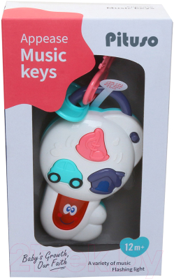 Развивающая игрушка Pituso Волшебный ключ / K999-82B (белый)