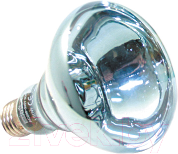 Лампа для террариума Repti-Zoo ReptiDay 63075B / 83725007 (75Вт)