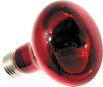 Лампа для террариума Repti-Zoo ReptiInfrared 80100R / 83725013 (100Вт)