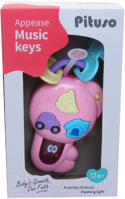 Развивающая игрушка Pituso Волшебный ключ / K999-82G (розовый)