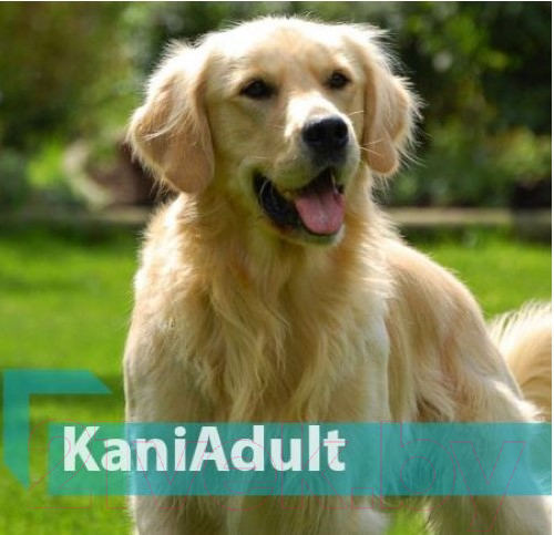 Сухой корм для собак Quicker Kani Adult Lamb (10кг) — фото 3