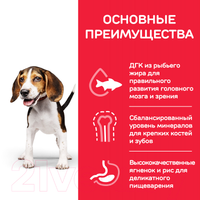 Сухой корм для собак Hill's Science Plan Puppy Medium Lamb / 604270 (2.5кг)