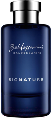 Туалетная вода Baldessarini Signature (90мл)