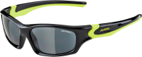 Очки солнцезащитные Alpina Sports Flexxy Teen / A84964-37 (черный/желтый неон) - 