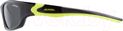 Очки солнцезащитные Alpina Sports Flexxy Teen / A84964-37 (черный/желтый неон)