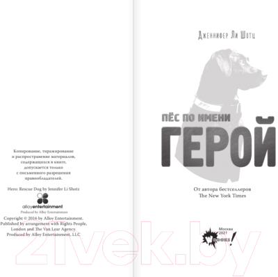 Изображение товара Книга АСТ Пес по имени Герой (Шотц Дж.)