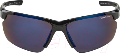 Очки солнцезащитные Alpina Sports Defey HR / A8657332 (черный/синий)