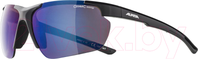 Очки солнцезащитные Alpina Sports Defey HR / A8657332 (черный/синий)