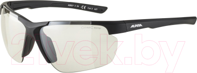 Очки солнцезащитные Alpina Sports Defey HR / A8657334 (черный)