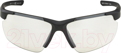 Очки солнцезащитные Alpina Sports Defey HR / A8657334 (черный)