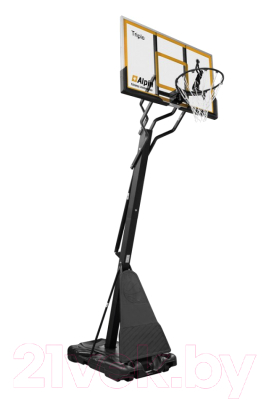 Баскетбольный стенд Alpin Triple BST-54