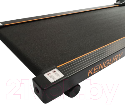 Электрическая беговая дорожка DFC Kengury T122B (черный/оранжевый)