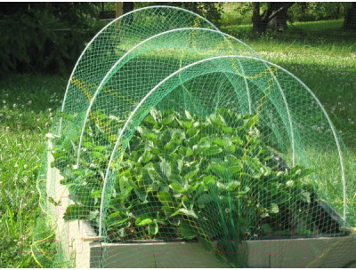 Защитная сетка для растений Interlok Защита от птиц 2x10м