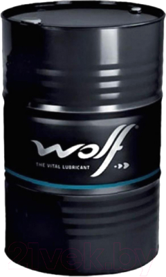 

Моторное масло WOLF, EcoTech 5W30 SP/RC G6 / 16155/205