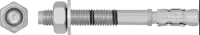 

Анкер клиновой Rawlplug, R-XPT-10115/45