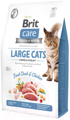 Сухой корм для кошек Brit Care Cat Grain-Free Large Cats Power Vitality / 540914 (2кг)