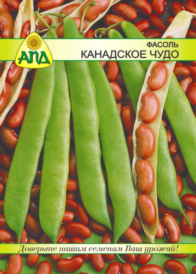 

Семена АПД, Фасоль Канадское Чудо / A10385