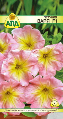 

Семена цветов АПД, Петуния Заря F1 / A20363