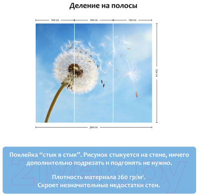 Фотообои листовые Citydecor Одуванчик 2 (300x254)