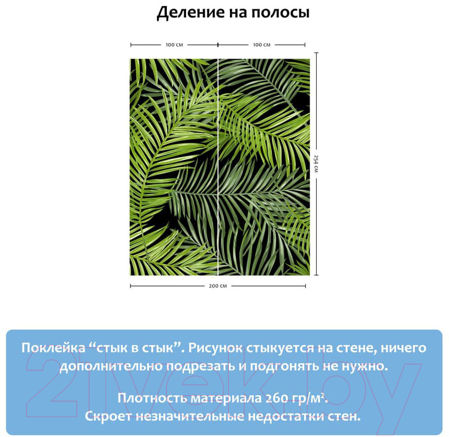Фотообои листовые Citydecor Тропические листья (200x254) — фото 5