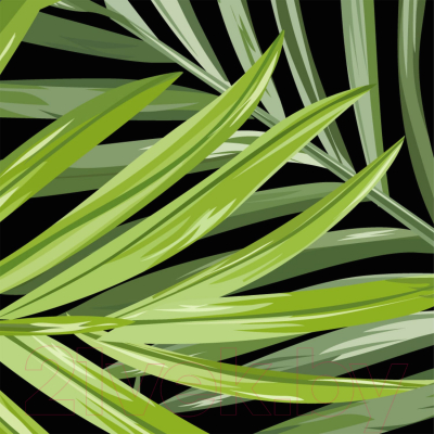 Фотообои листовые Citydecor Тропические листья (200x254)
