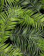 Фотообои листовые Citydecor Тропические листья (200x254) - 