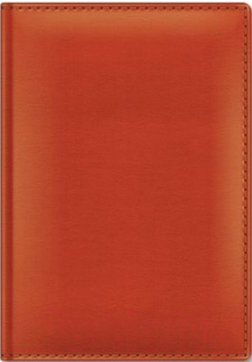 

Ежедневник Hatber, Ляссе Sarif Classic / 176Ед5-00422
