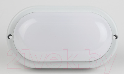 Изображение товара Светильник ЖКХ ЭРА SPB-202-0-40К-015 / Б0047625