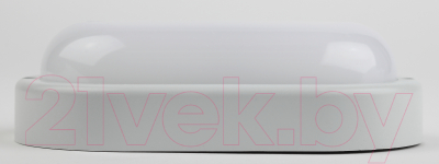 Изображение товара Светильник ЖКХ ЭРА SPB-202-0-40К-015 / Б0047625