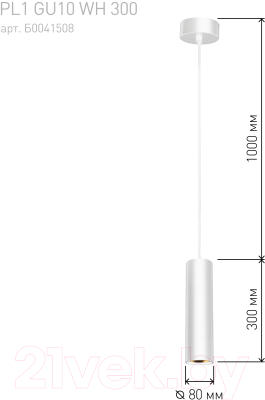 Потолочный светильник ЭРА PL1 GU10 WH / Б0041508