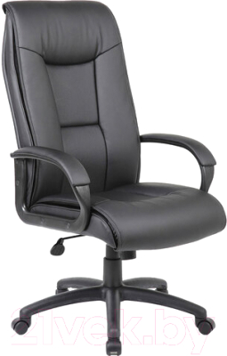 Кресло офисное Brabix Premium Work EX-513 / 531943 (черный)