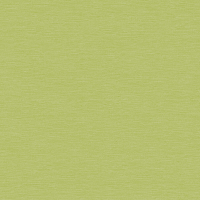 Рулонная штора Brabix 60x175 / 605984 (зелёный S-32) - 