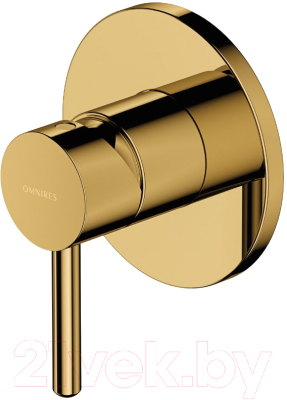 

Смеситель Omnires, Y1245 GL