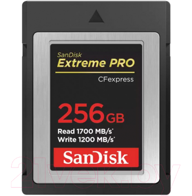 

Карта памяти SanDisk, Extreme Pro CF Express Card Type B 256GB (SDCFE-256G-GN4NN)