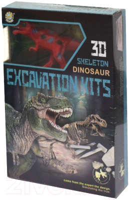 Набор для опытов Qunxing Toys Раскопки динозавра / 501B-504B
