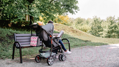 Детская прогулочная коляска Lionelo Emma Plus (серый/розовый)