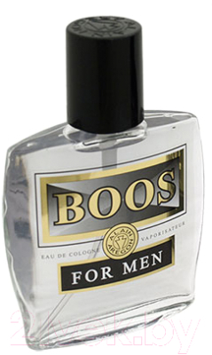 Одеколон Positive Parfum Boos (60мл)