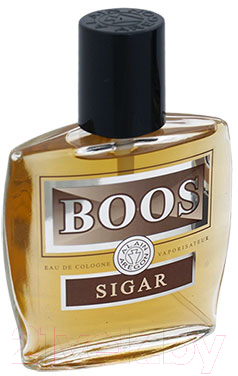 Одеколон Positive Parfum Boos Sigar (60мл)