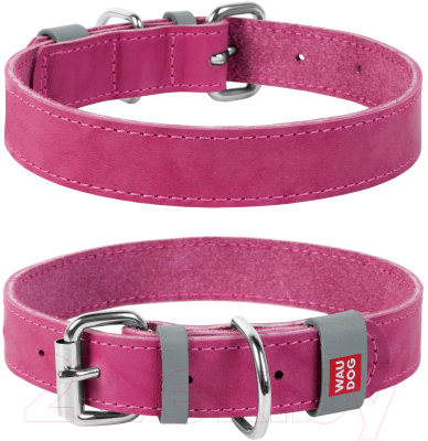 

Ошейник Collar, Waudog Classic 02077