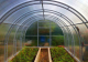 Миниатюра изображения товара Секция для теплицы КомфортПром 3.2x2м(0.67) / 10014111 (с поликарбонатом)