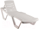 Шезлонг Ellastik Plast Элластик 187x63.5x32 (белый) - 