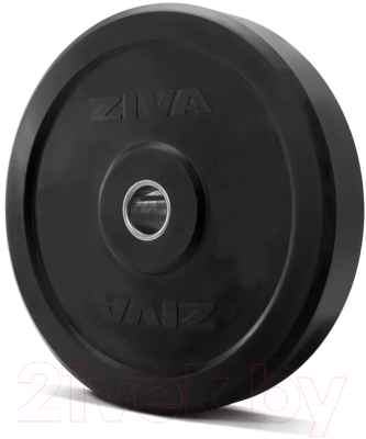 Диск для штанги Ziva Pro FЕ / ZFT-BPRB-0679 (15кг, серый)