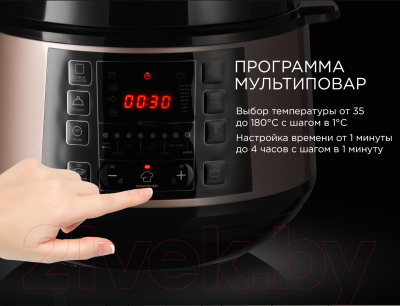 Мультиварка-скороварка Redmond RMC-PM506 (бронзовый)