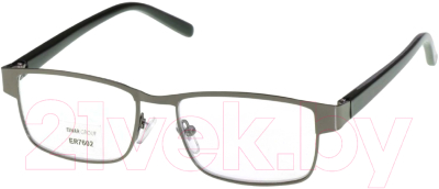 Готовые очки ЗОЛУШКА ER7602 +2.50