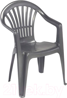 

Стул пластиковый Ipae Progarden, Altea / ALT180AN