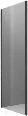 Изображение товара Душевая стенка RGW Z-050-2-B / 352205200-14 (черный/прозрачное стекло)