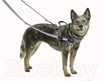 Изображение товара Поводок Halti Double Ended 63644/COA (L, голубой)