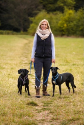 Изображение товара Поводок Halti Double Ended 63644/COA (L, голубой)