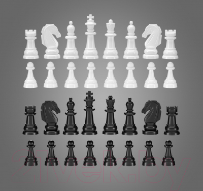 Шахматы Десятое королевство 03883