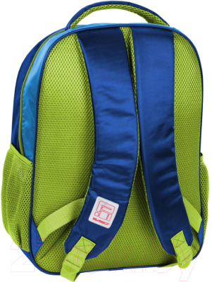 Школьный рюкзак Paso 17-260X